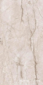 Керамогранит Alpas Euro Premium Marble New Tone Pol. 60x120 Бежевый 