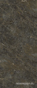 Керамогранит La Faenza Aesthetica AE GOL6 278 LP  120x278 Коричневый 