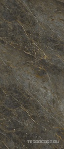 Керамогранит La Faenza Aesthetica AE GOL6 278 LP  120x278 Коричневый 