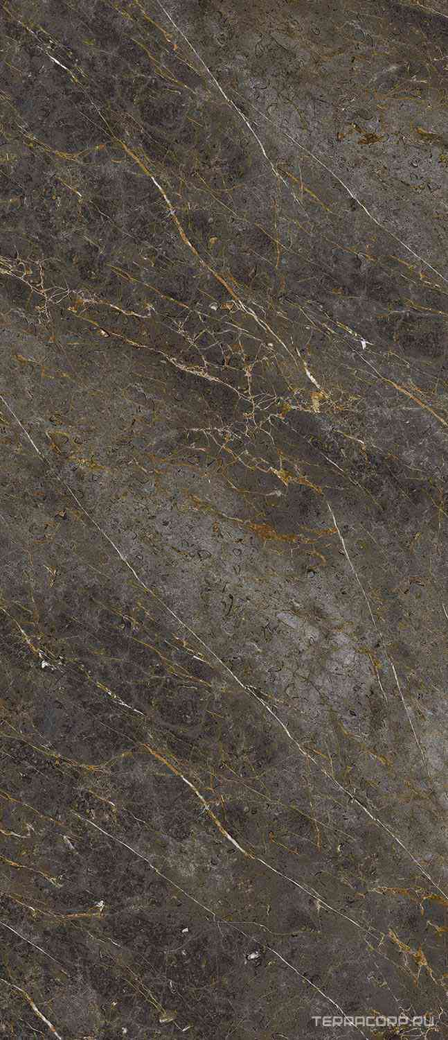 AE GOL6 278 LP   120x278
