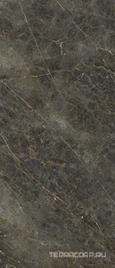 Керамогранит La Faenza Aesthetica AE GOL6 278 LP  120x278 Коричневый 