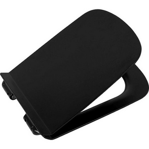 Сиденье для унитаза с микролифтом, (цв.черный матовый),  ZZ BelBagno Sela BB3201SC-MB