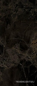 Керамогранит Imola The Room INF BR6 278 RM 120x278 Черный 