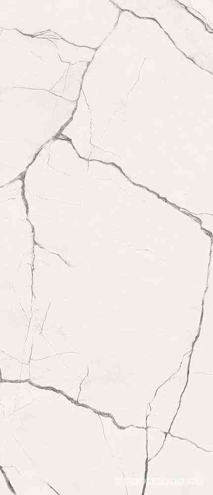 STA VP6 278 RM  120x278