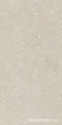 Shellstone Beige 60x120