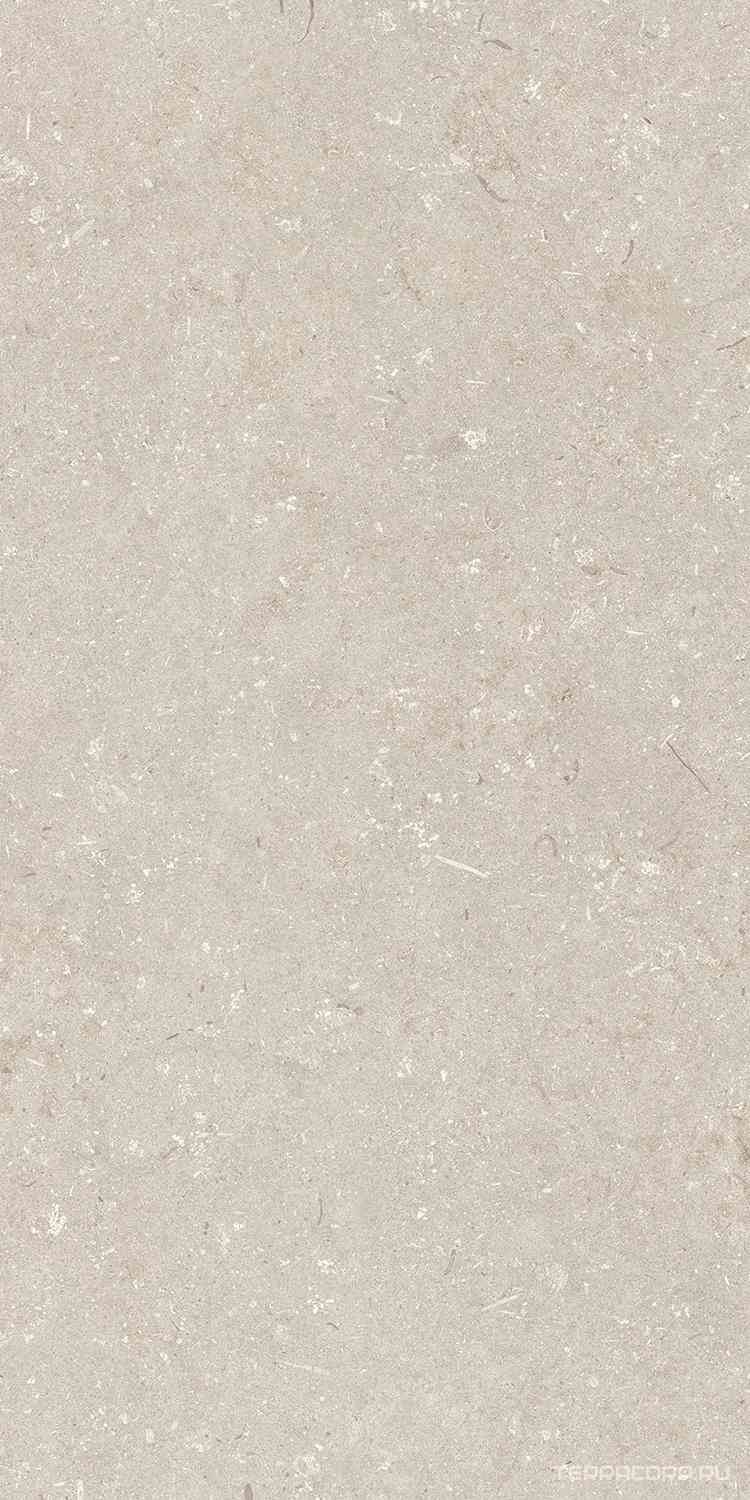 Shellstone Beige 60x120