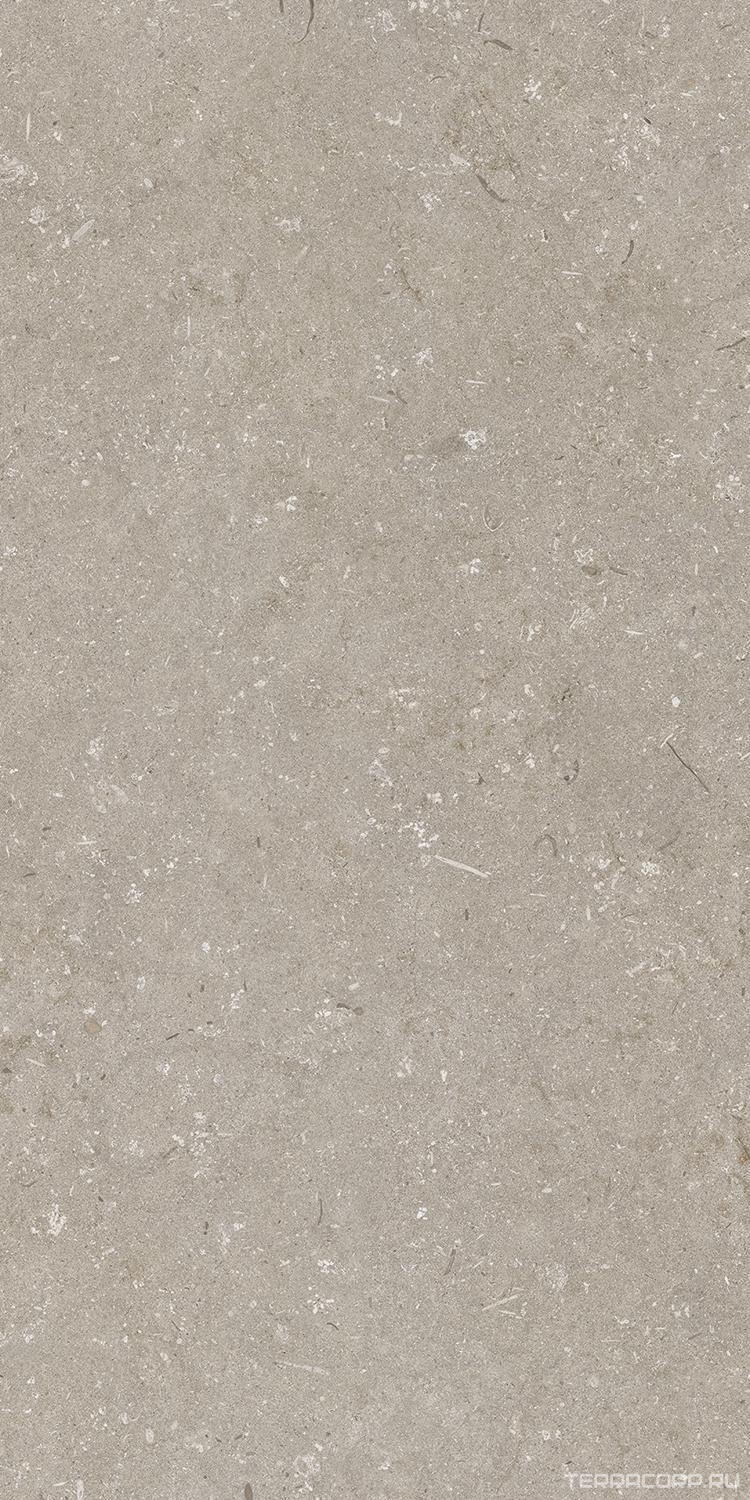 Керамогранит Dado Ceramica Shellstone Taupe 60x120 Бежевый, фото 4