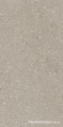 Shellstone Taupe 60x120