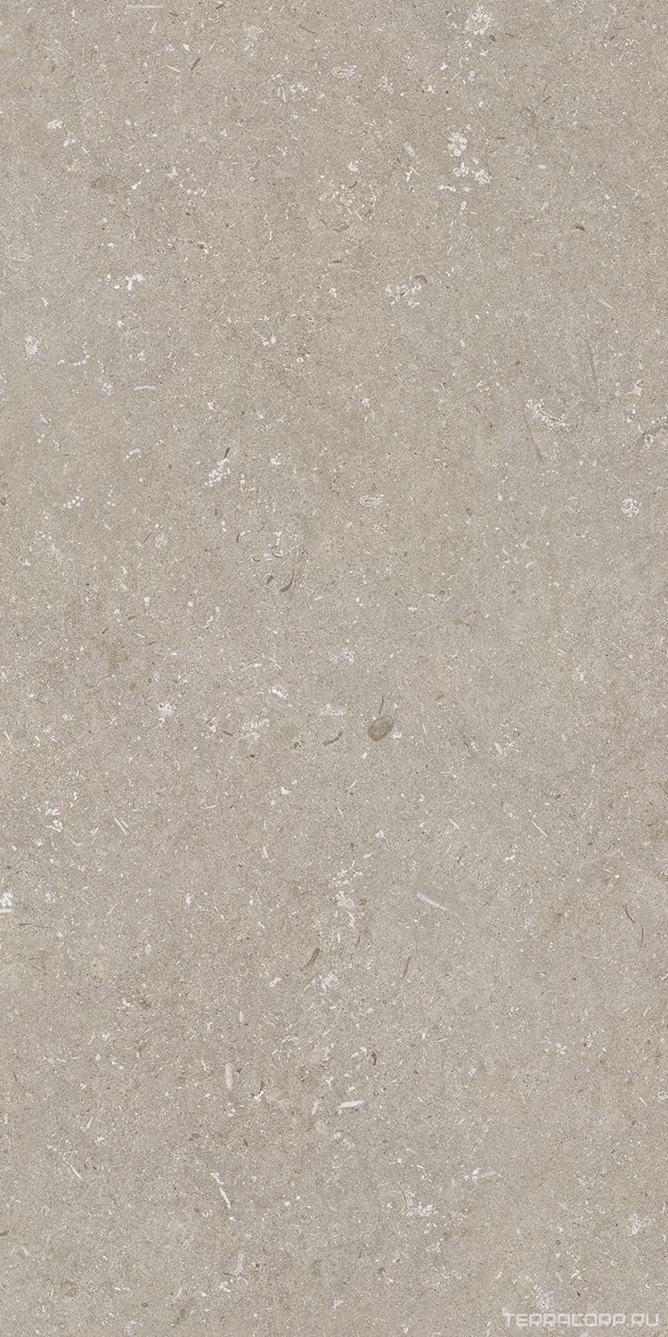 Керамогранит Dado Ceramica Shellstone Taupe 60x120 Бежевый, фото 6