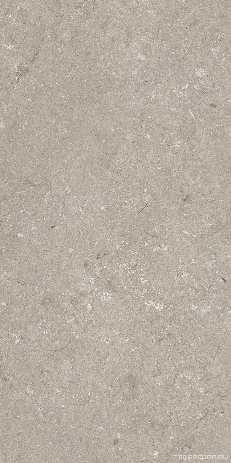 Керамогранит Dado Ceramica Shellstone Taupe 60x120 Бежевый, фото 5