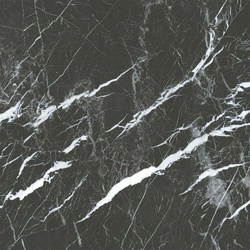 Marona black  80x80