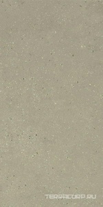 Керамогранит Dado Ceramica Geology  Salvia 60x120 Серый 