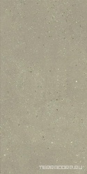 Geology Salvia 60x120