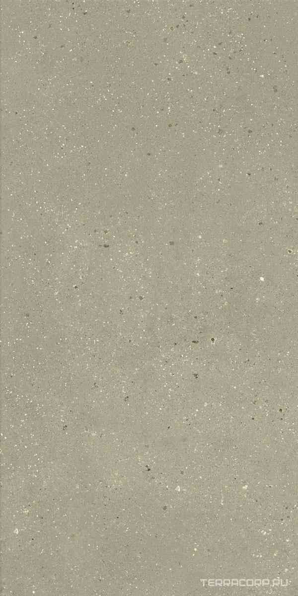 Geology Salvia 60x120