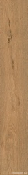 Roots Gold 20x120