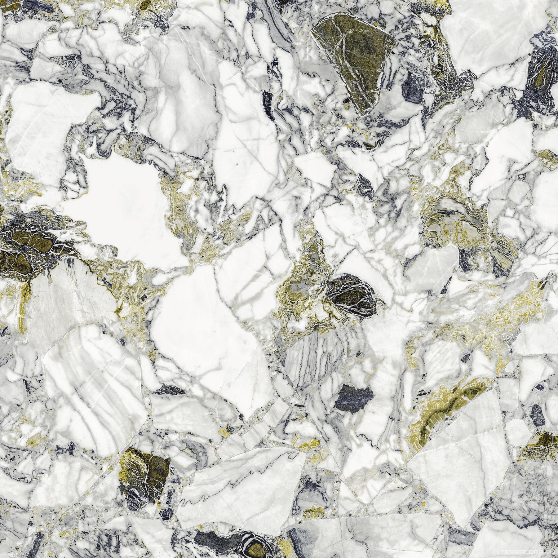 Керамогранит AtlasConcorde Россия FORTE DEI MARMI QUARK F.d.M.Quark Ceppo Ap. Forest 80x80 Lapp/Ф.Д.М.Кварк Чеппо Ап. Форест 80Х80 Лап Комбинированный, фото 4