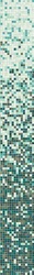 Begonia 2x2  ZZ |32.2x258.8
