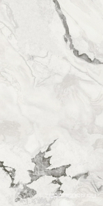 Керамогранит AtlasConcorde Россия FORTE DEI MARMI QUARK F.d.M.Quark Oyster Wh. Rett 60x120 Cer/Ф.Д.М.Кварк Ойстер Ва. Рет 60Х120 Пат Комбинированный 