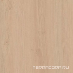 Альберони бежевый светлый матовый обрезной 60x60
