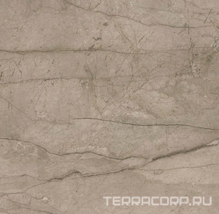 Керамогранит AtlasConcorde Россия FORTE DEI MARMI F.d.M. Mystic G. Rett 120x120/Ф.Д.М. Мистик Г. Рет 120Х120 Коричневый 