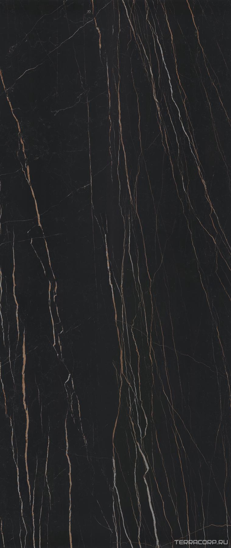 Керамогранит FMAX FMAX 120x270 Black Gold 6 mm glossy 120x270 Черный, фото 5