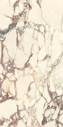 Calacatta Viola Luc 60x120