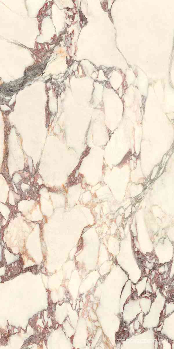 Calacatta Viola Luc 60x120