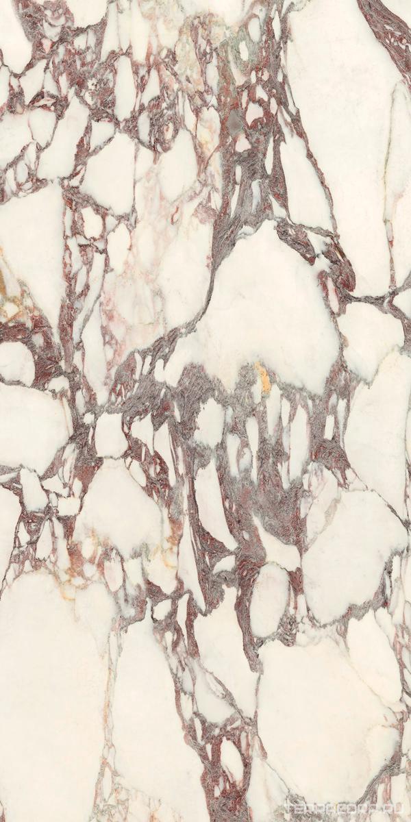 Керамогранит Ariostea Marmi Classici Calacatta Viola Luc 60x120 Белый, фото 7