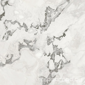 Керамогранит AtlasConcorde Россия FORTE DEI MARMI QUARK F.d.M.Quark Oyster Wh. Rett 120x120/Ф.Д.М.Кварк Ойстер Ва. Рет 120Х120 Комбинированный 