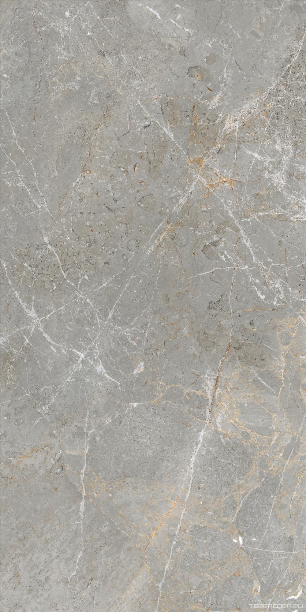Керамогранит APE Ceramica Augustus Grey Natural rect 60x120 Серый, фото 5