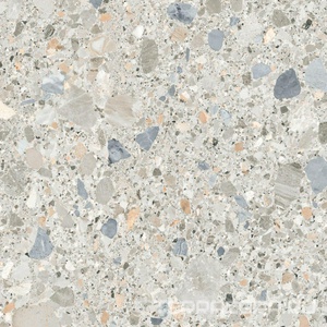 Керамогранит Pamesa Pietra Di Gre Antic  Multi 120x120 Комбинированный 