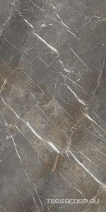 Керамогранит La Faenza Aesthetica AE COL6 278 LP  120x278 Серый 