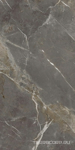 Керамогранит La Faenza Aesthetica AE COL6 278 LP  120x278 Серый 