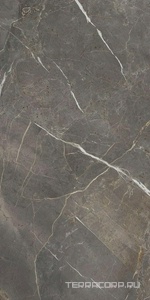 Керамогранит La Faenza Aesthetica AE COL6 278 LP  120x278 Серый 