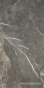 Керамогранит La Faenza Aesthetica AE COL6 278 LP  120x278 Серый 