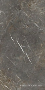 Керамогранит La Faenza Aesthetica AE COL6 278 LP  120x278 Серый 