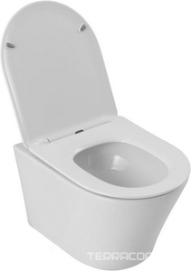 Унитаз подвесной, безободковый, смыв "Торнадо", сиденье с микролифтом в комплекте Aquanet ZVEZDA-3 336319