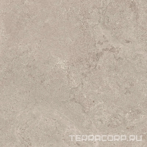 Керамогранит Ariostea Pietre Naturali Portland Greige  60x60 Серый 