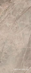 Керамогранит Imola The Rock FIBOSC6 278 RM   120x278 Серо-коричневый 