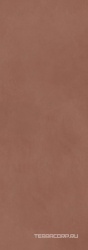 Calce Terracotta 3,5  ZZ 100x300