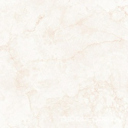 Crema Marfil Antik 120x120