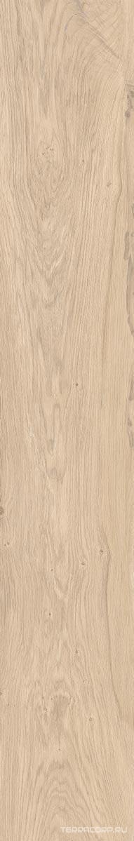 Керамогранит Gardenia Orchidea Just Venice Beige Chiaro Nat 16x100 Коричневый, фото 5