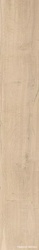 Beige Chiaro Nat  |16x100