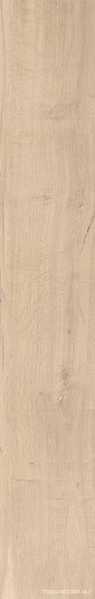 Beige Chiaro Nat  |16x100