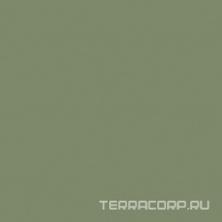 Rainbow RW06 зелёный полир. ZZ 60x60