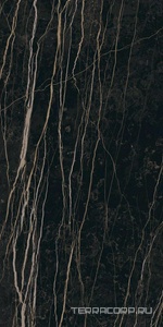 Керамогранит Florim Prexious of Rex Thunder Night Glossy 60x120 Черный 