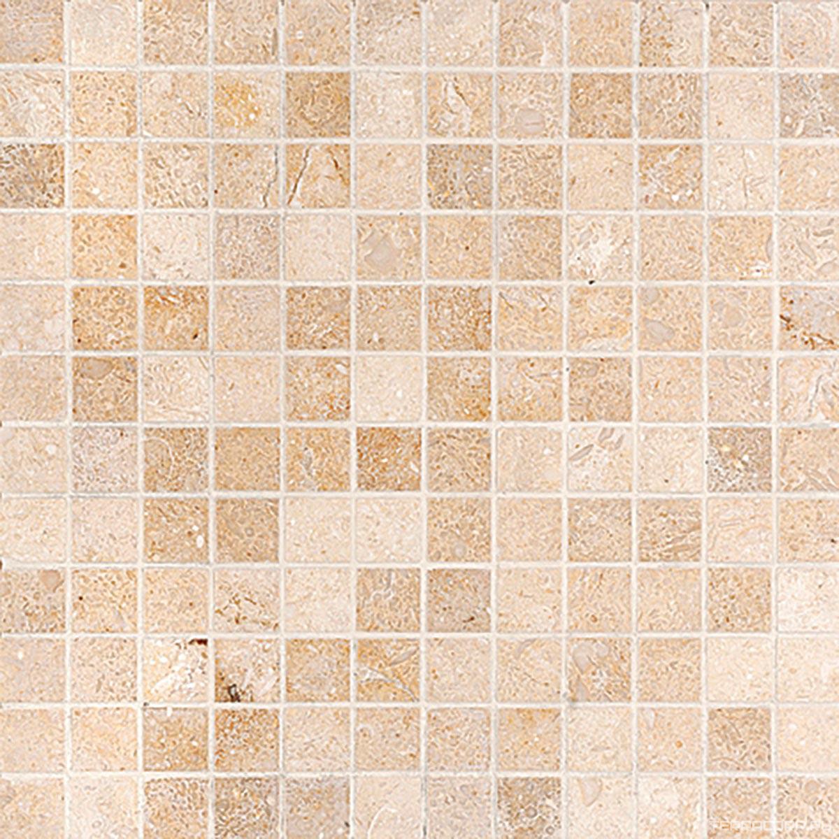 Мозаика Tureks Mosaic Seashell honed str 1x1 30.5X30.5X1 Бежевый, фото 2