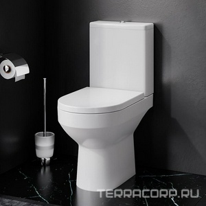 Унитаз напольный , безободковый, цвет белый, БЕЗ крышки-сиденья AMPM Spirit C708600WH