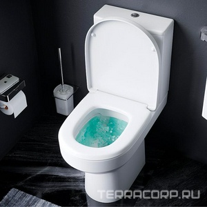 Унитаз напольный , безободковый, цвет белый, БЕЗ крышки-сиденья AMPM Spirit C708600WH