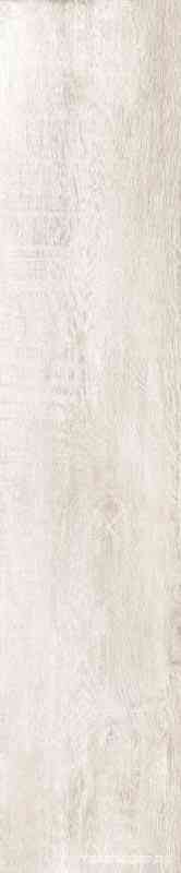 GreenWood Bianco|24x120